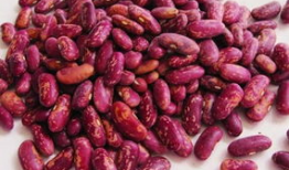 天麻豆功效与吃法,养生佳品，功效与食法全解析