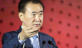 娱乐圈吃瓜王健林是谁,揭秘娱乐圈“吃瓜王”王健林的传奇人生